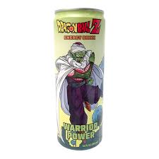 DRAGON BALL Z WARRIOR POWER ENERGY